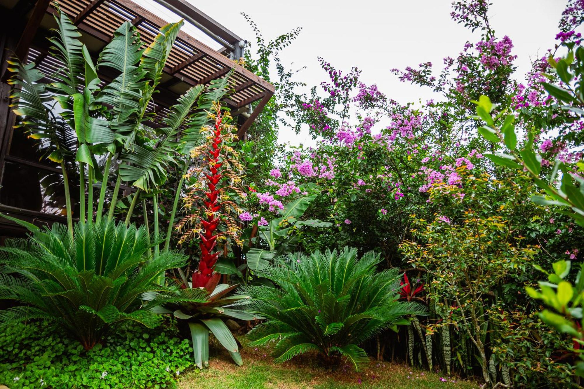 Ibiraquera Life Villa Praia do Rosa Dış mekan fotoğraf